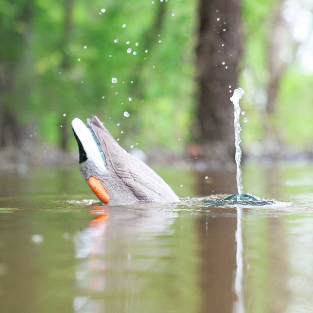 MOJO Outdoors Dabbler Duck Motorized Decoy In Motion Image