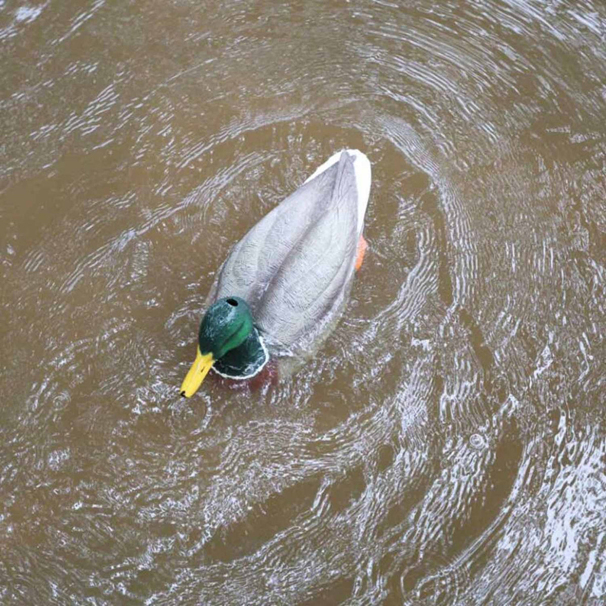 MOJO Outdoors Dabbler Duck Motorized DecoyTop Image