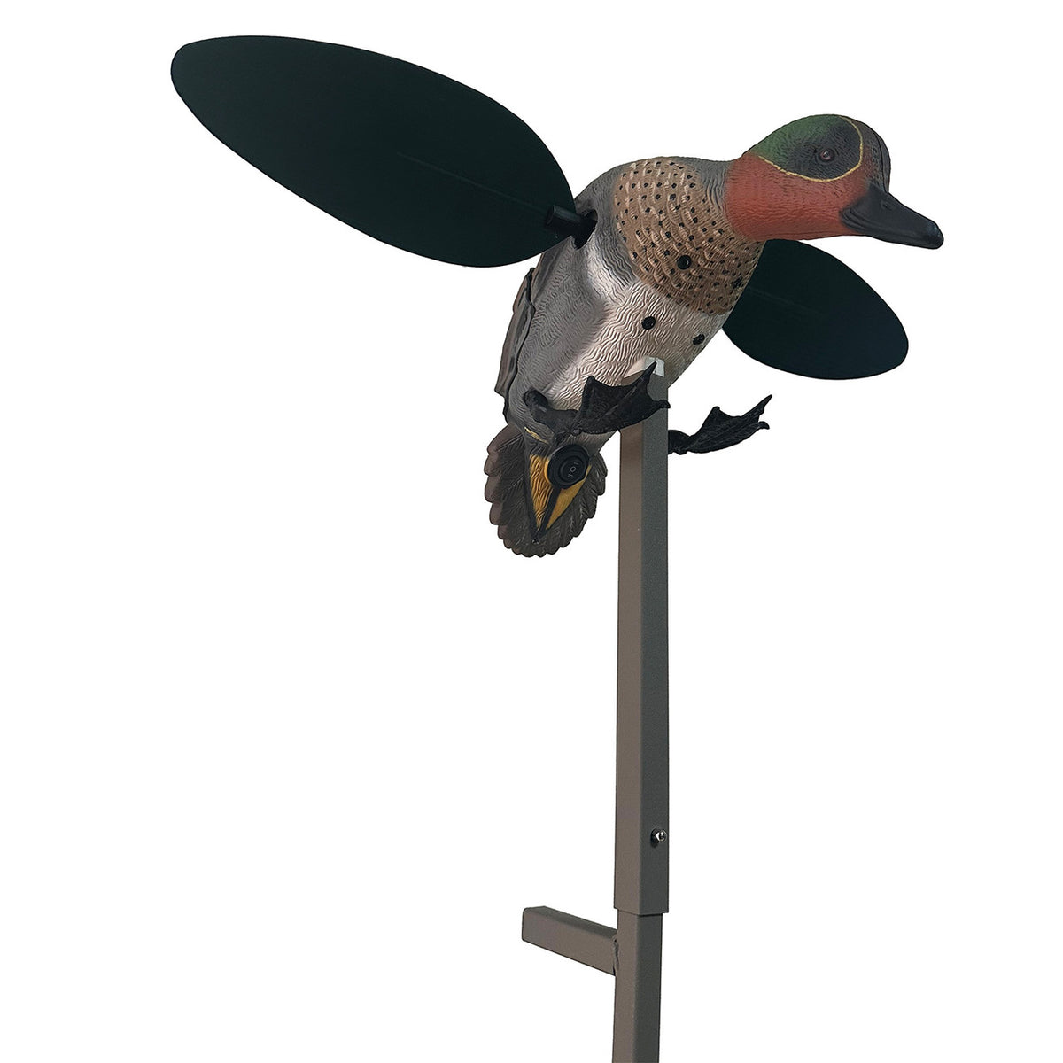 MOJO Outdoors Green-Winged Teal Spinning Wing Duck Decoy Right Side Image