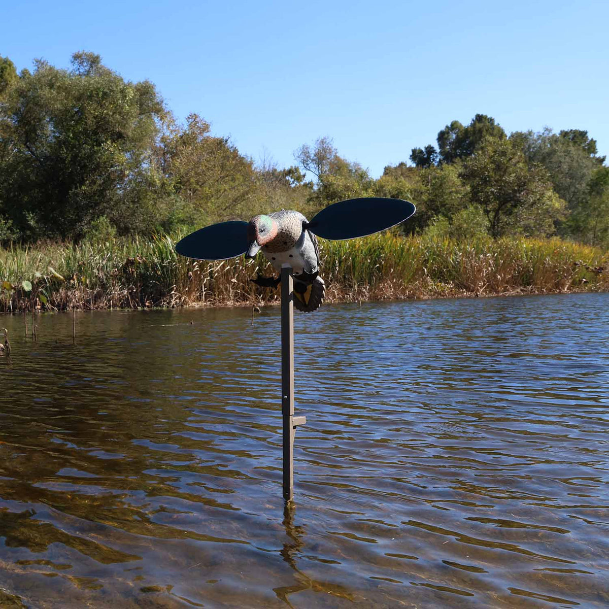 MOJO Outdoors Green-Winged Teal Spinning Wing Duck Decoy Field Image