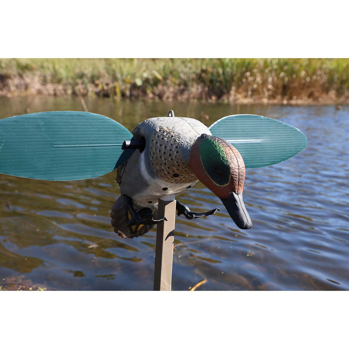 MOJO Outdoors Green-Winged Teal Spinning Wing Duck Decoy Detailed Image