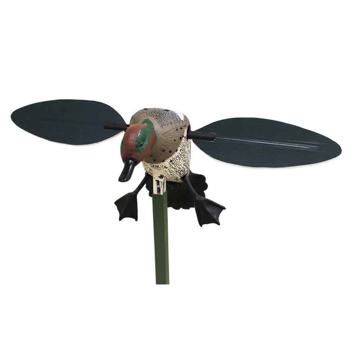Mojo Green-Winged Teal Spinning Wing Duck Decoy Image