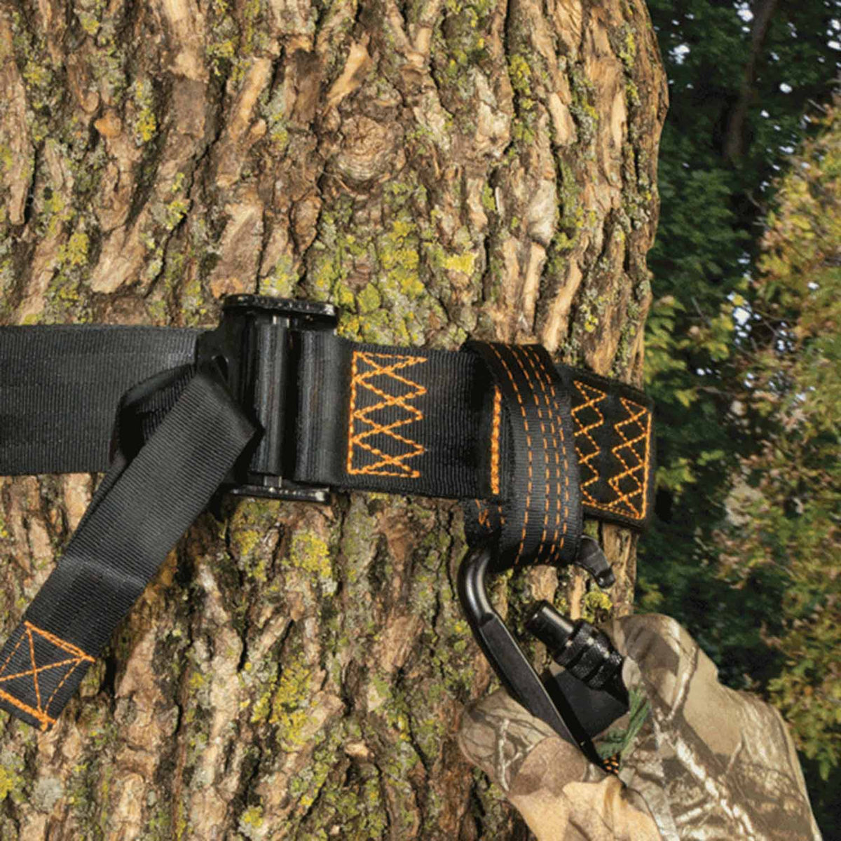 Outdoor image of the Ol' Man Tree Strap for Safety Harness.