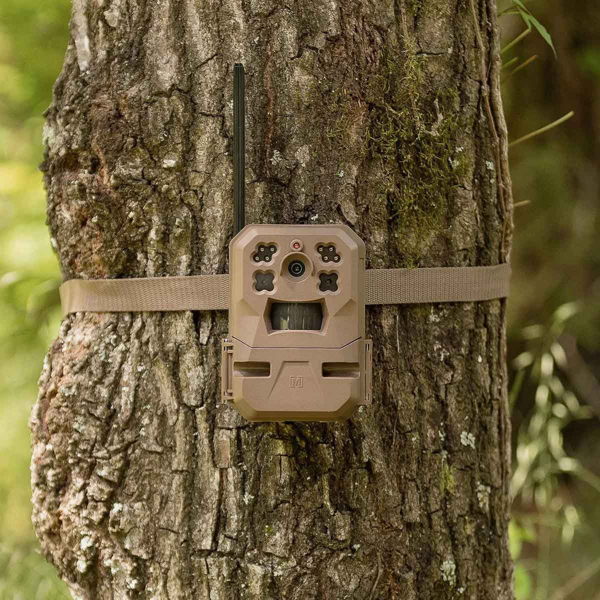 Moultrie Mobile Edge Cellular Trail Camera Image