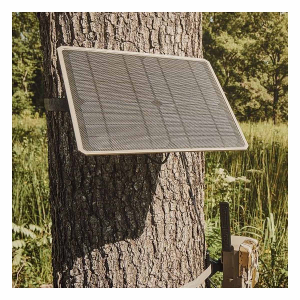 Moultrie Mobile 10 Watt Universal Solar Power Pack On Tree Image