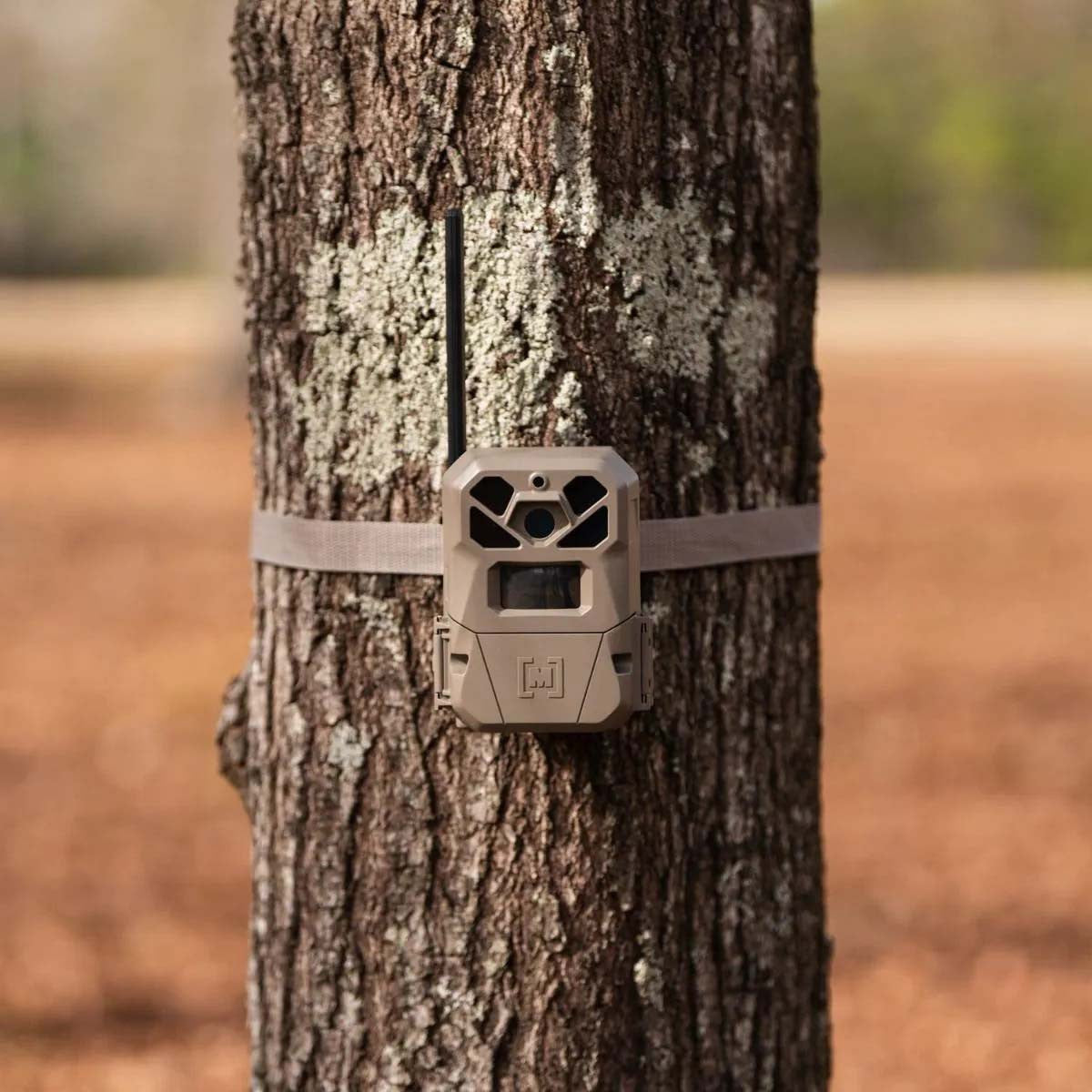 Moultrie EDGE 2 Pro Cellular Trail Camera In-the-Field Image