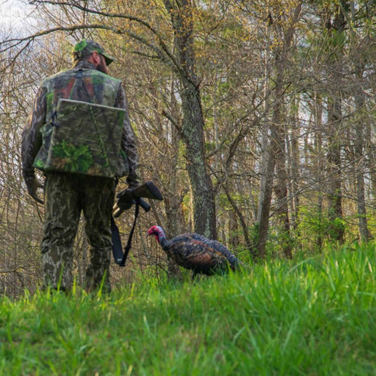 Montana Decoys Purrfect XD 3D Jake Turkey Decoy Field Image