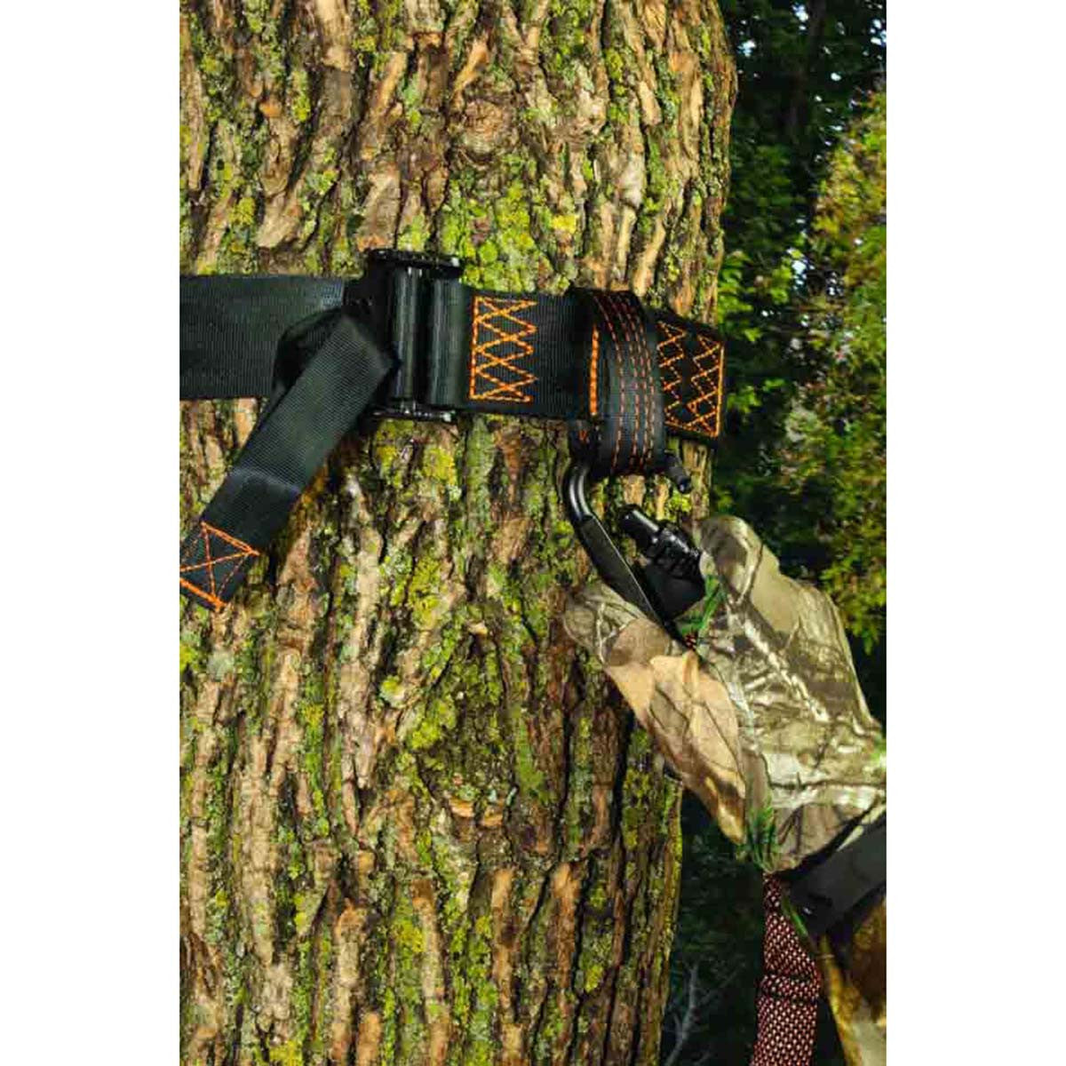 Safety Harness Tree Strap