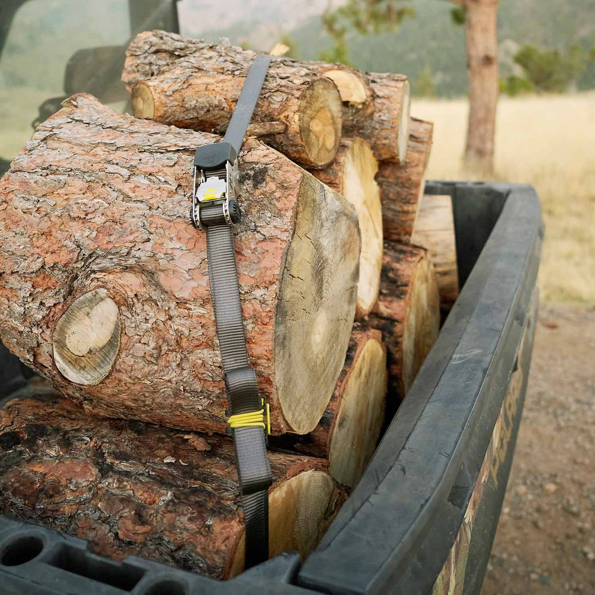 Strapped Around Logs Image of the Nite Ize CamJam HookLock Ratchet Strap System.