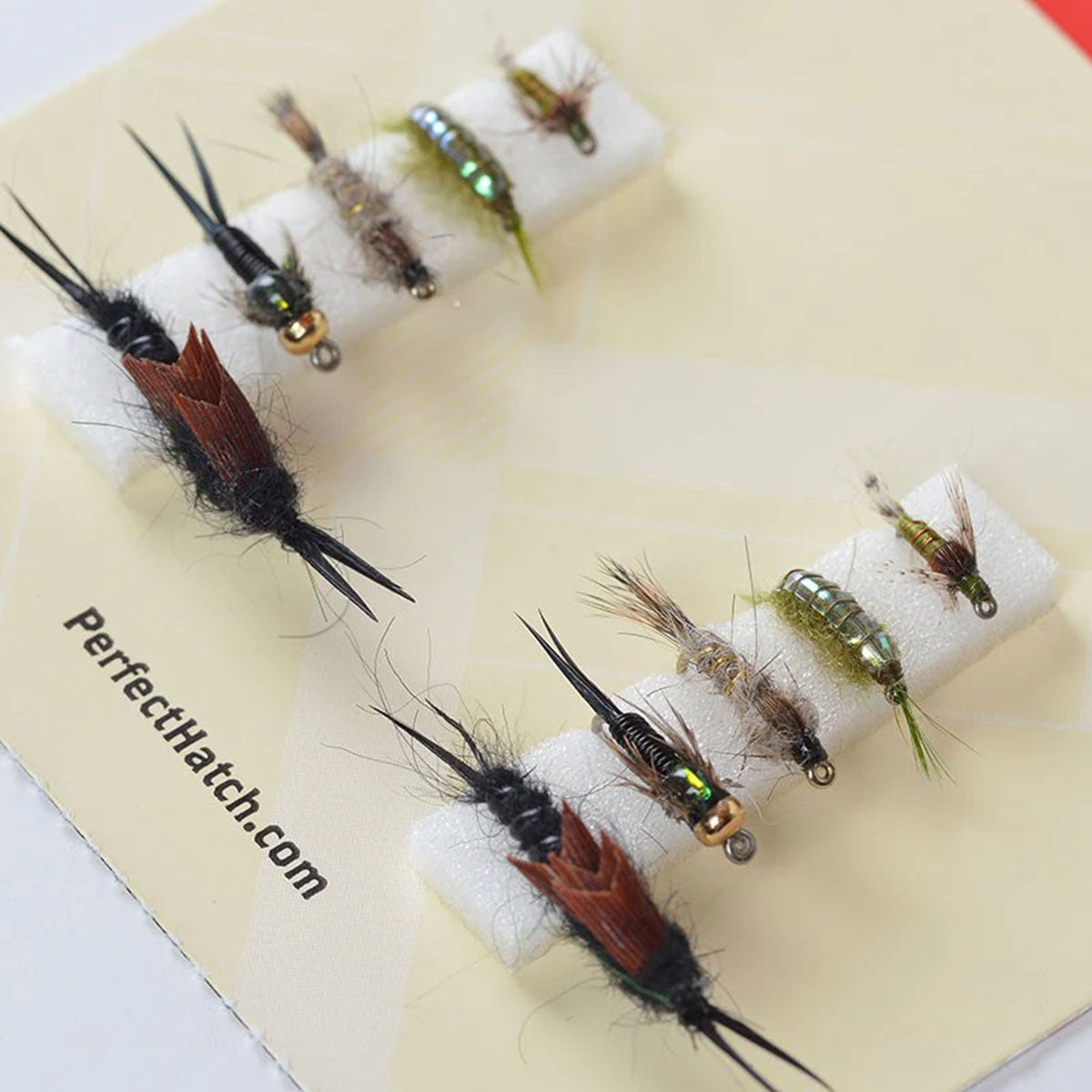 Nymph Assortment