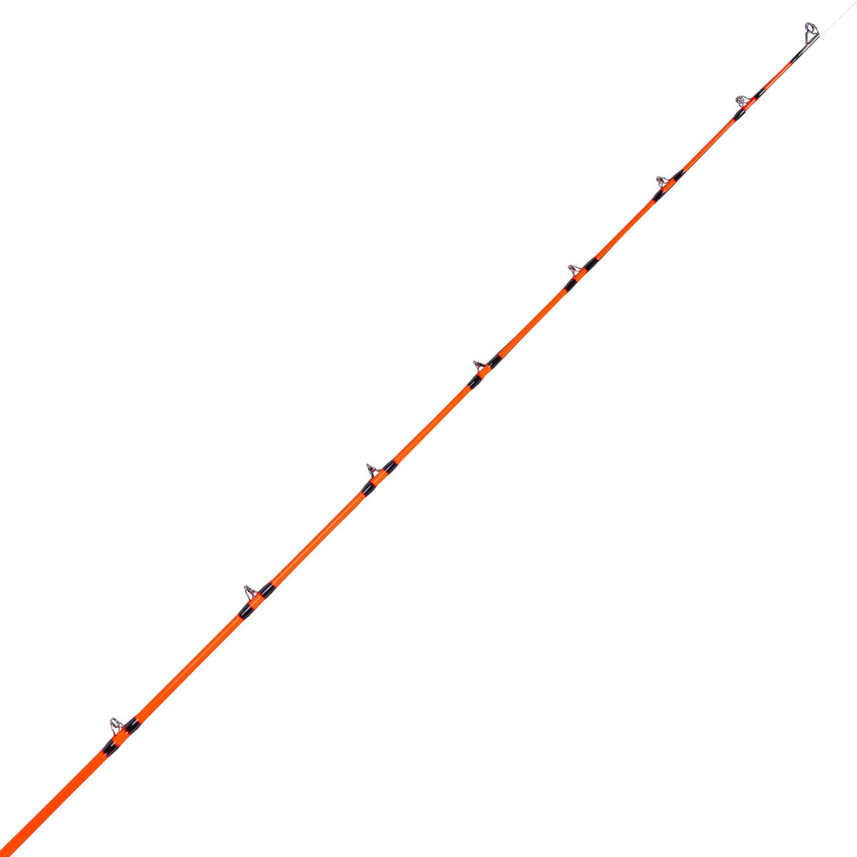 Guides Image of the Whisker Seeker FMJ V2 Spinning Rod