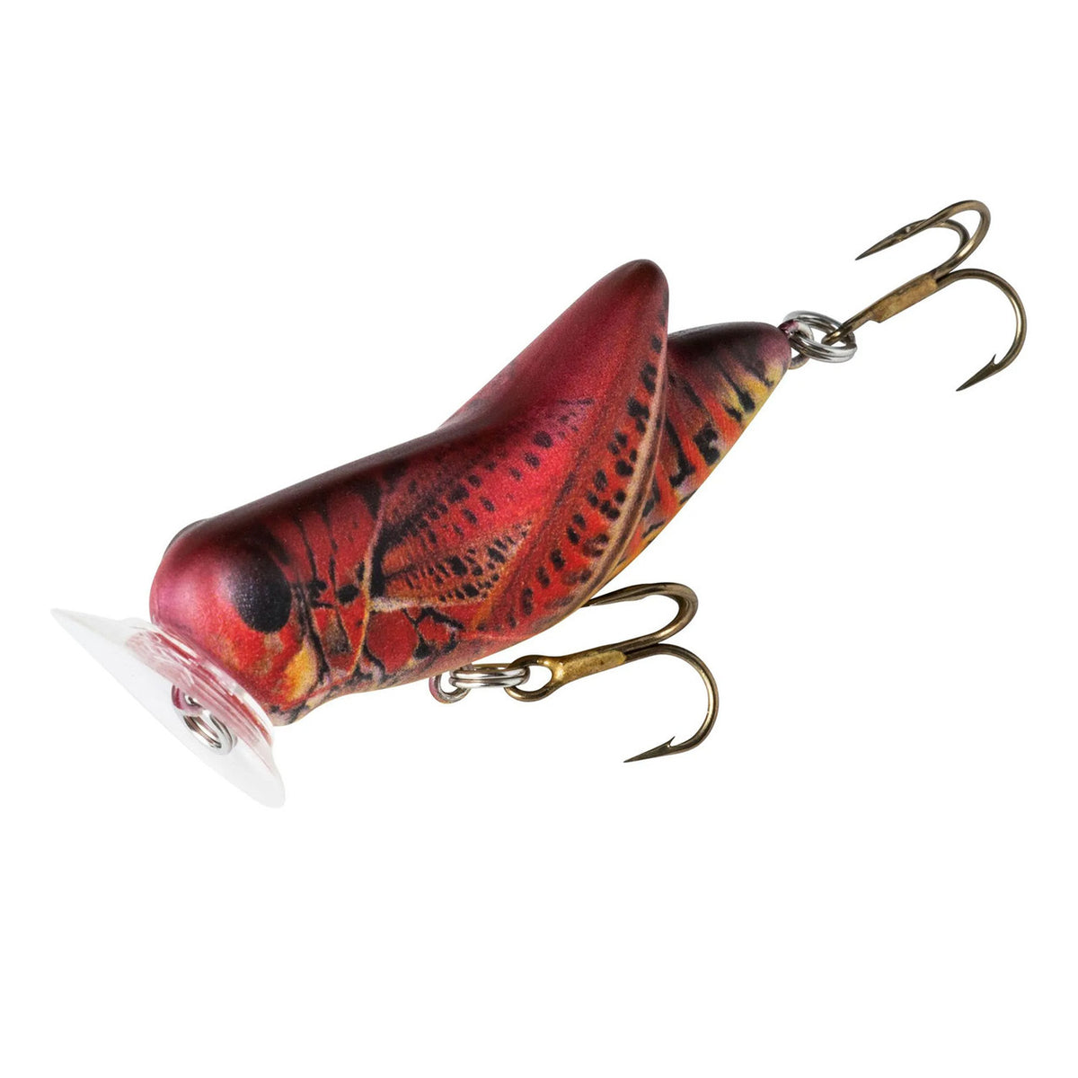 Image of the Rebel Lures Crickhopper Popper in Fire Cricket