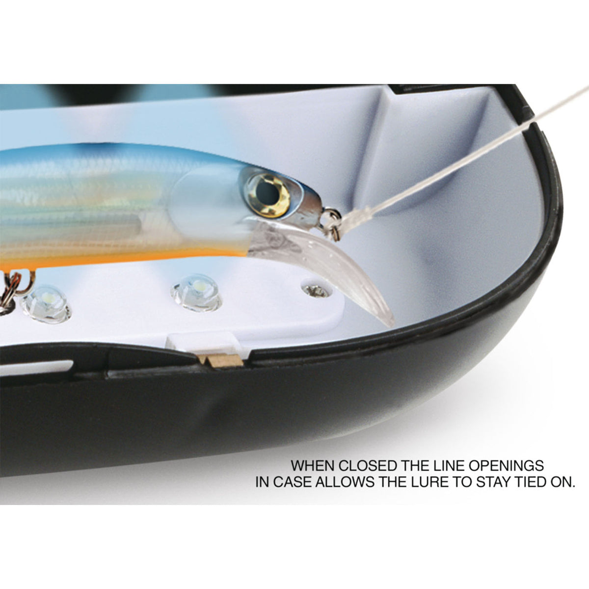 Rapala Charge' n Glow with lure image