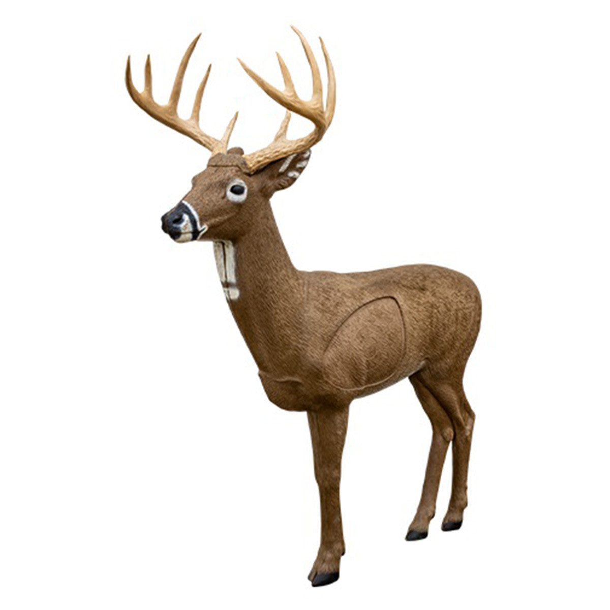 Rinehart Big Jim Whitetail Deer Target Image