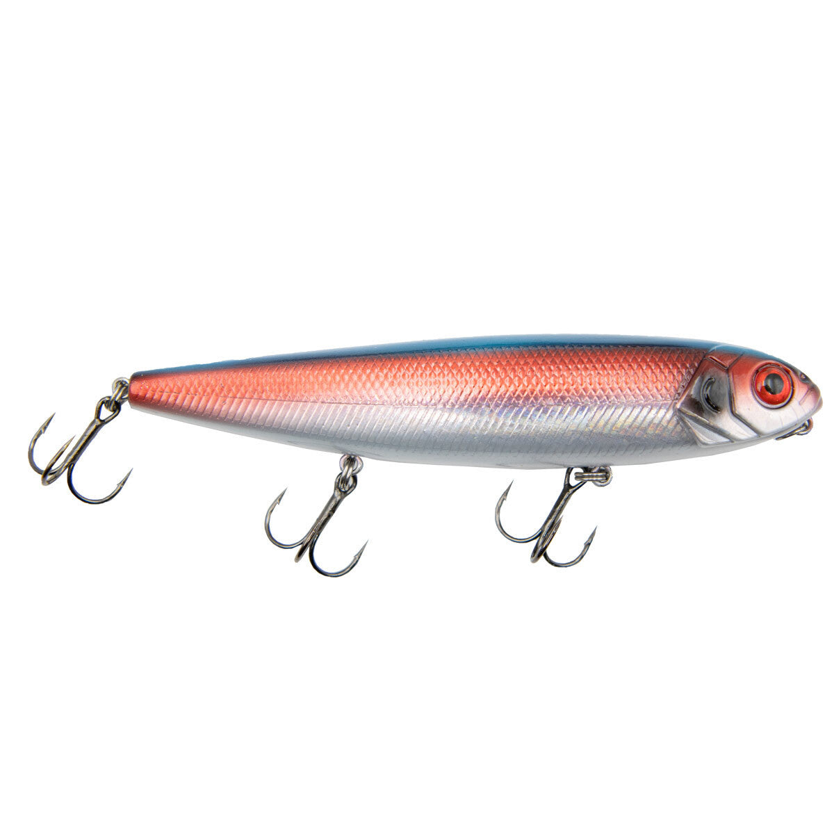 image of Rogers Ramble 120 Topwater Lure in Bleeding Chrome Blue.