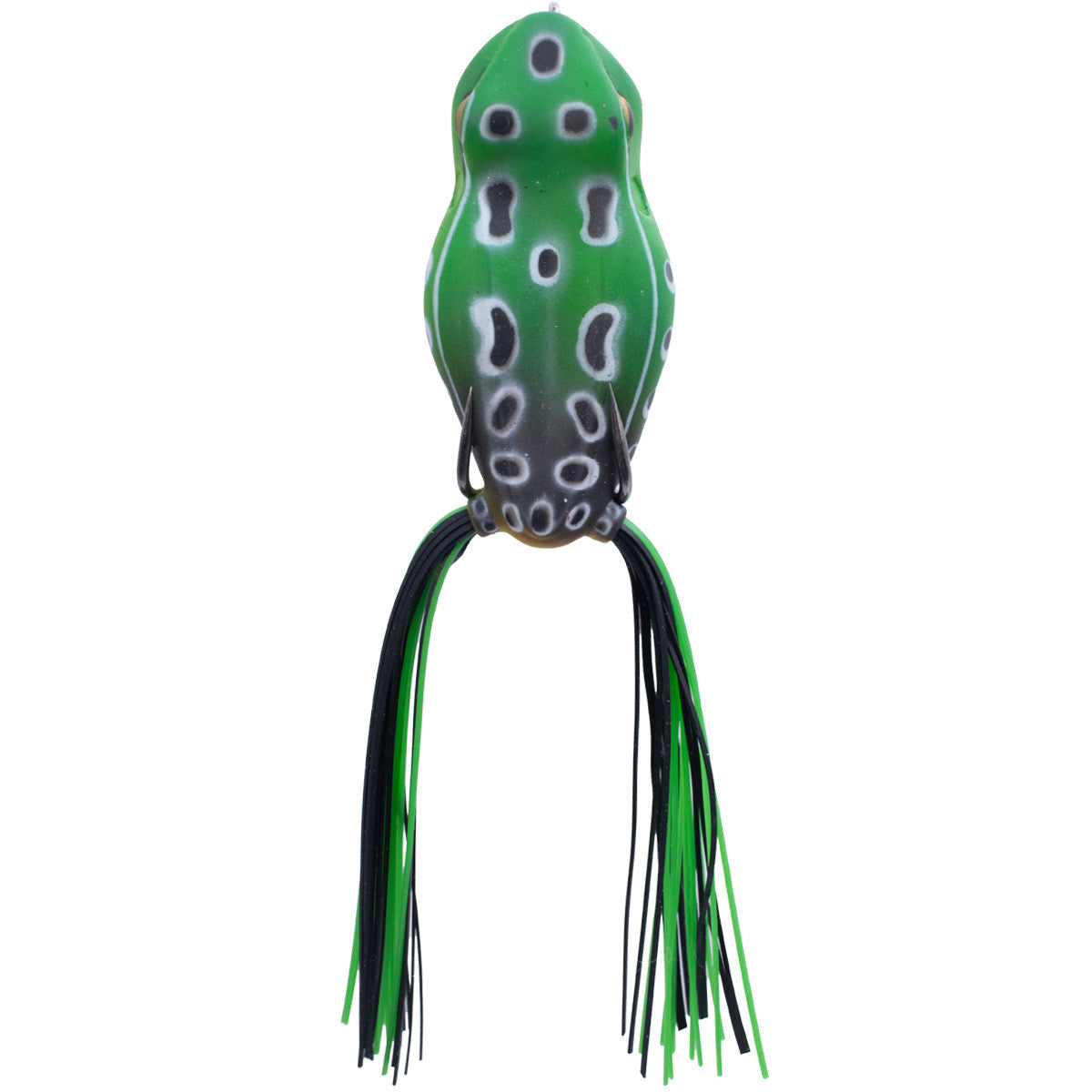 Rogers Rave 60 Hollow Body Spittin' Frog Image in Shadow Frog