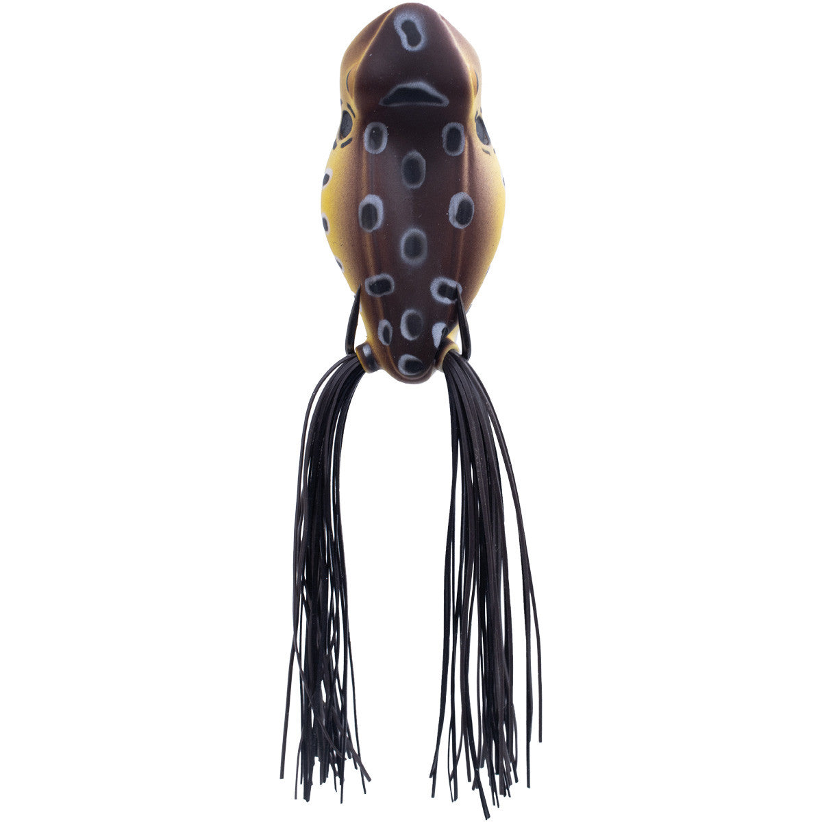 Rogers Rave 60 Hollow Body Spittin' Frog Image in Spring Frog