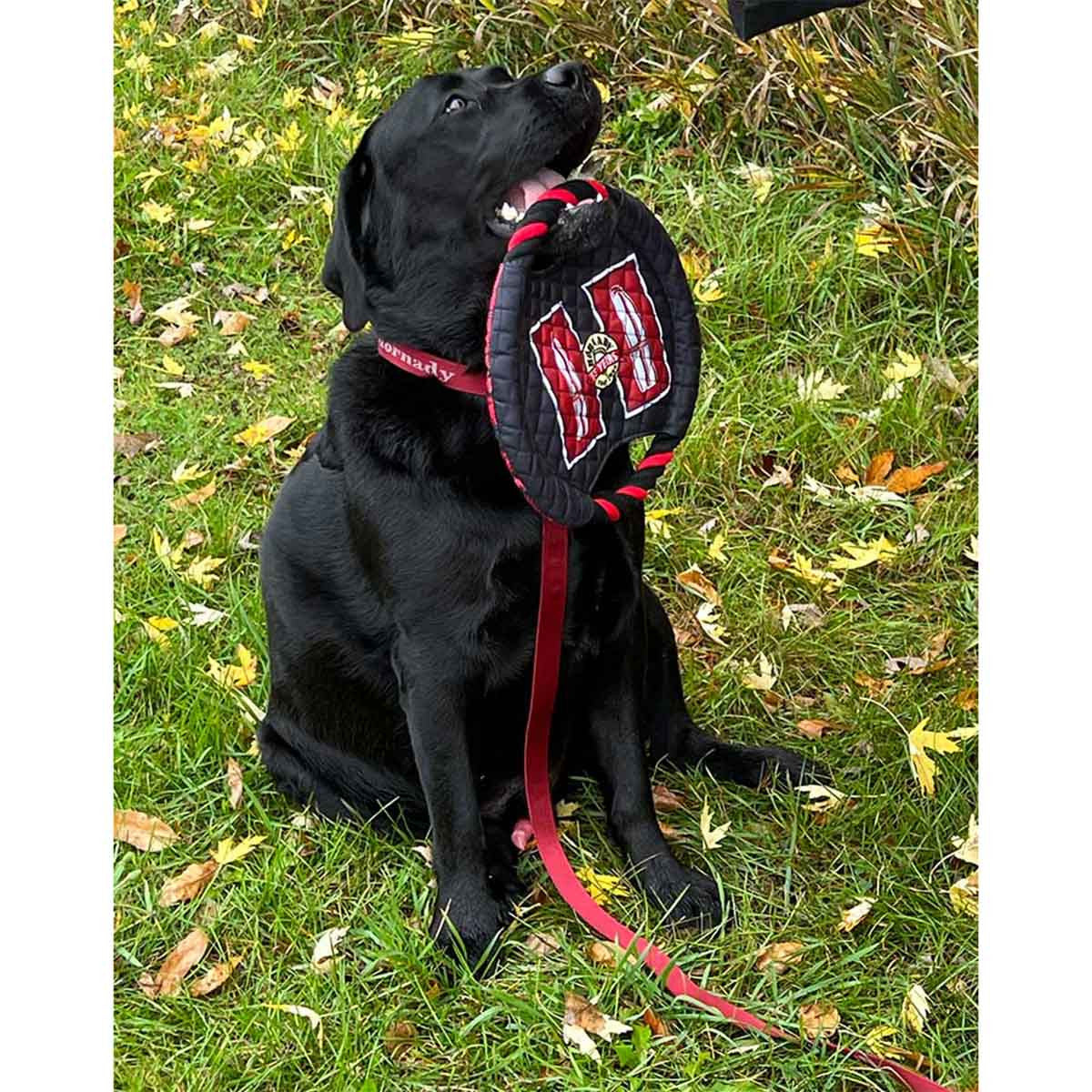 ROCT Hornady 75th Anniversary Celebration Dog Frisbee Lifestyle Image