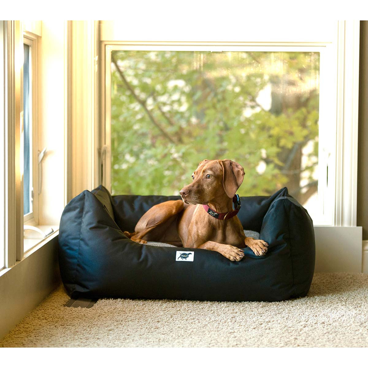 ROCT St. Croix Dog Bed Lifestyle Image