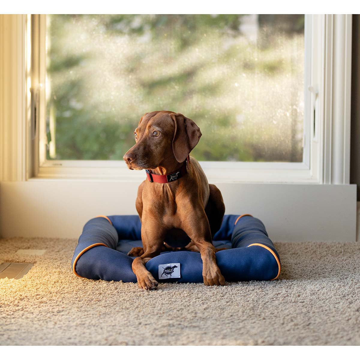 ROCT Upland Field Dog Bed Lifestyle Image