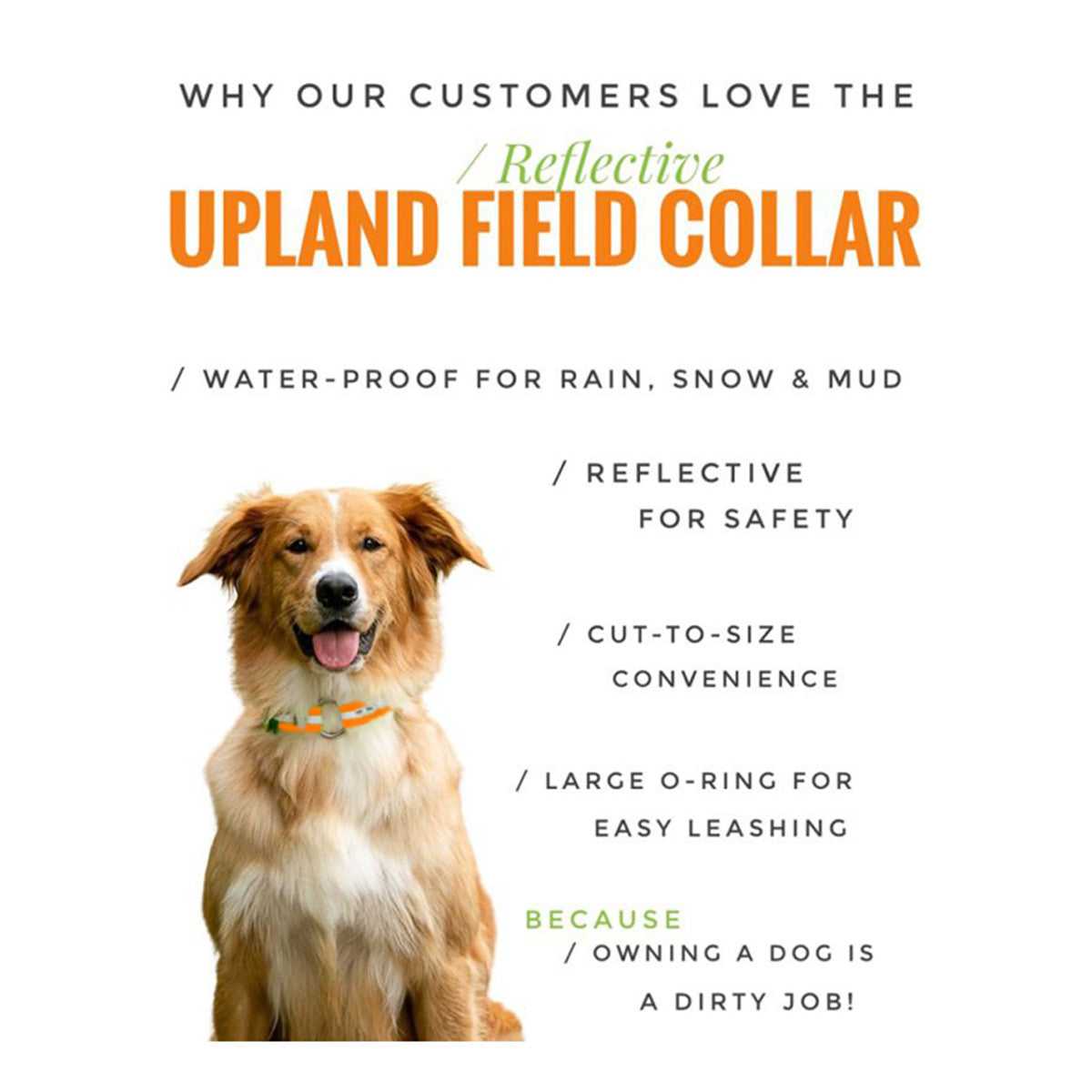 ROCT Upland Field Reflective Dog Collar Details Image