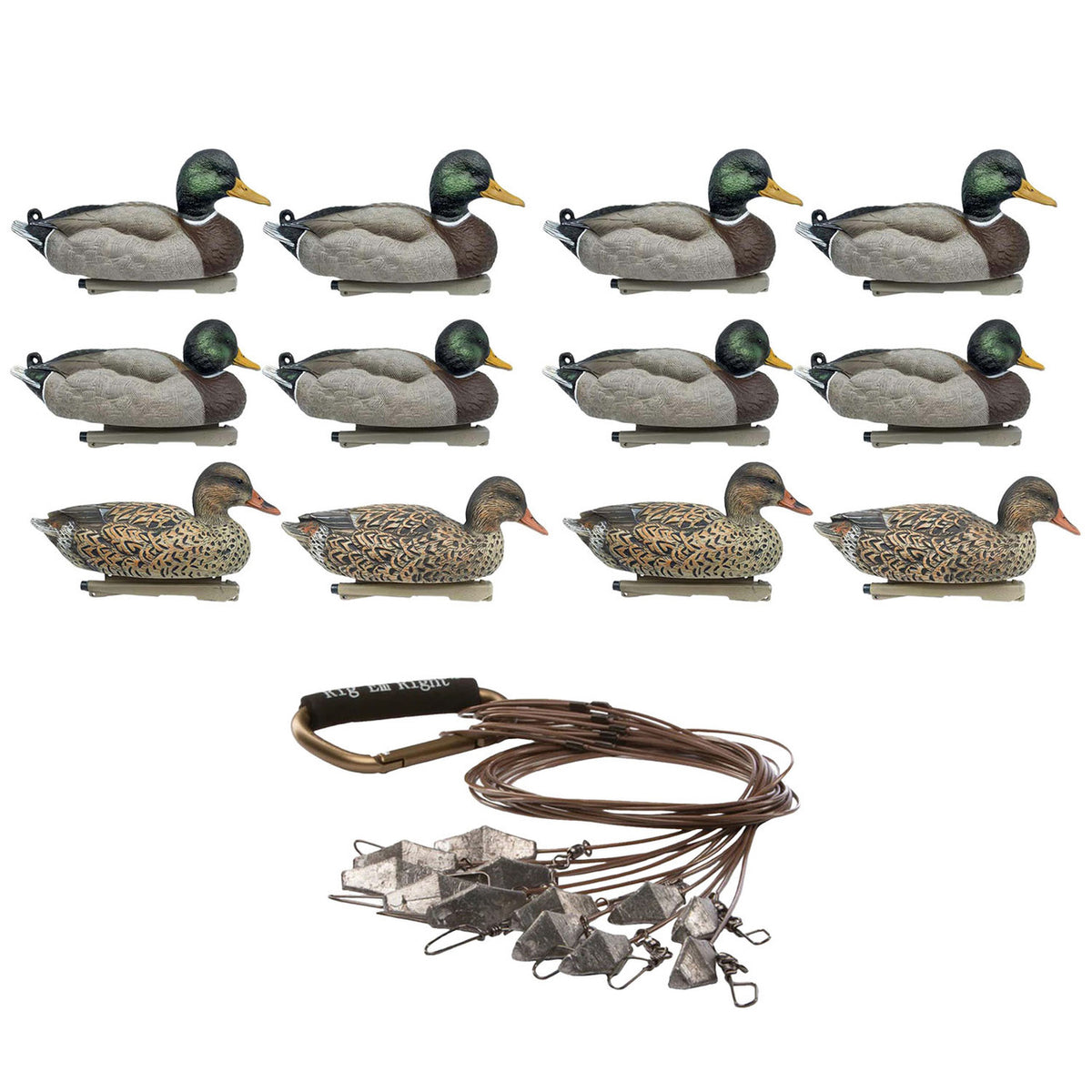 Rig'Em Right Mainline Series Mallard Duck Floating Duck Decoys, 12 Pack with Xtreme Coated Cable Decoy Anchors Image