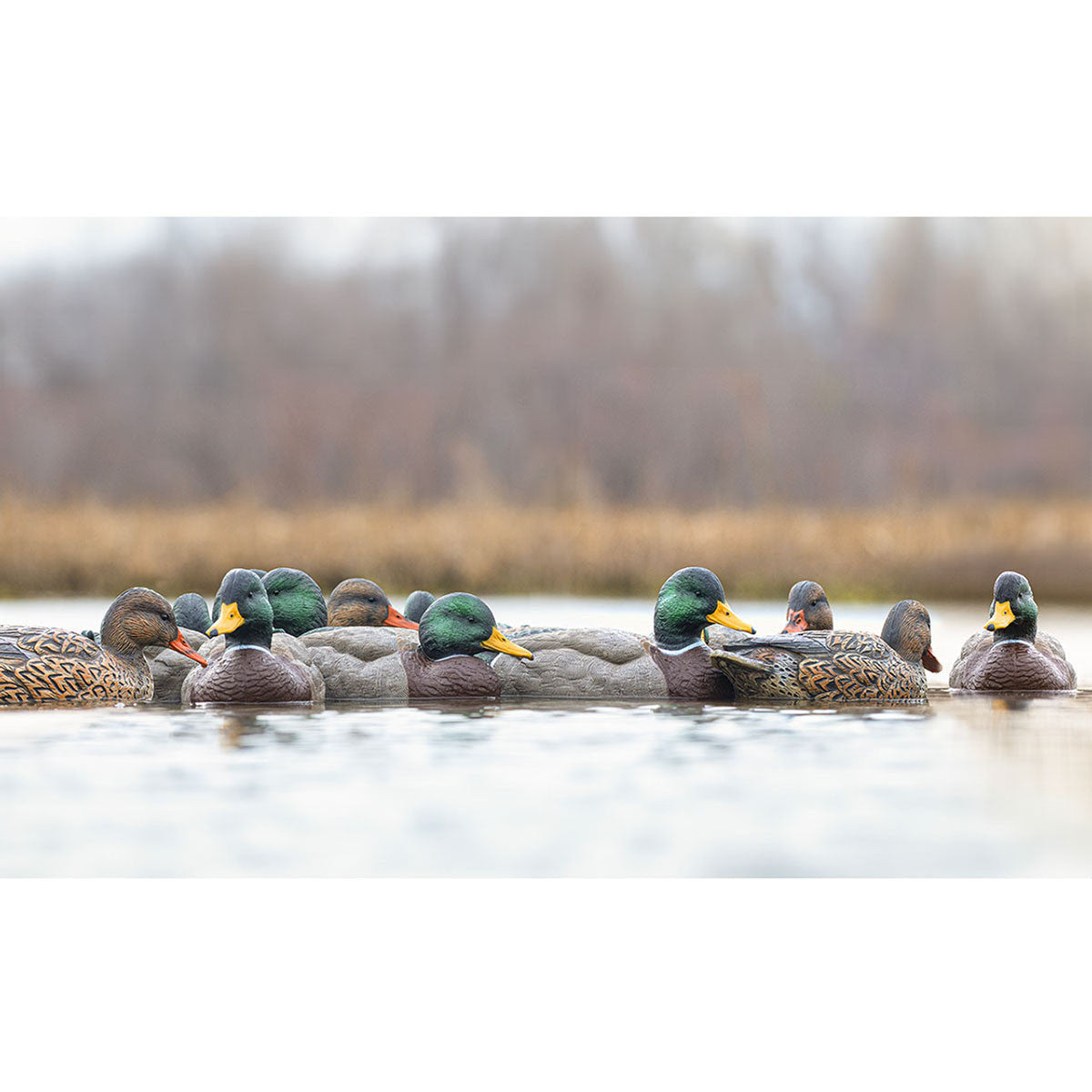 Rig'Em Right Mainline Series Mallard Duck Decoys, 6 Pack In-the-Field Image