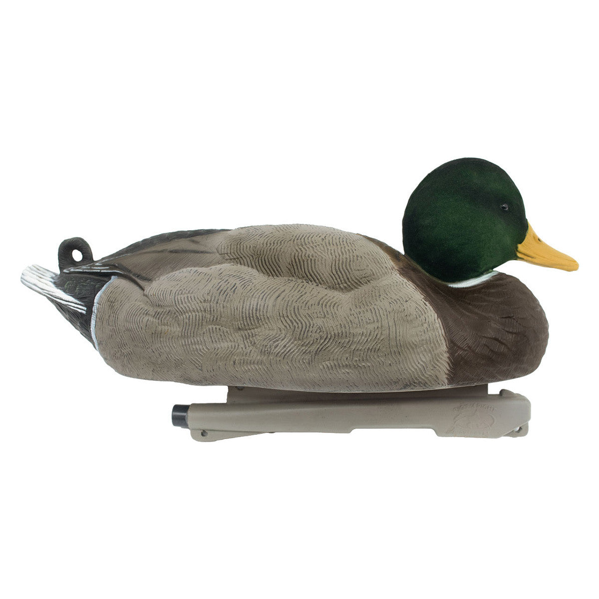 Mallard Duck Decoys with Low Head Drake Image