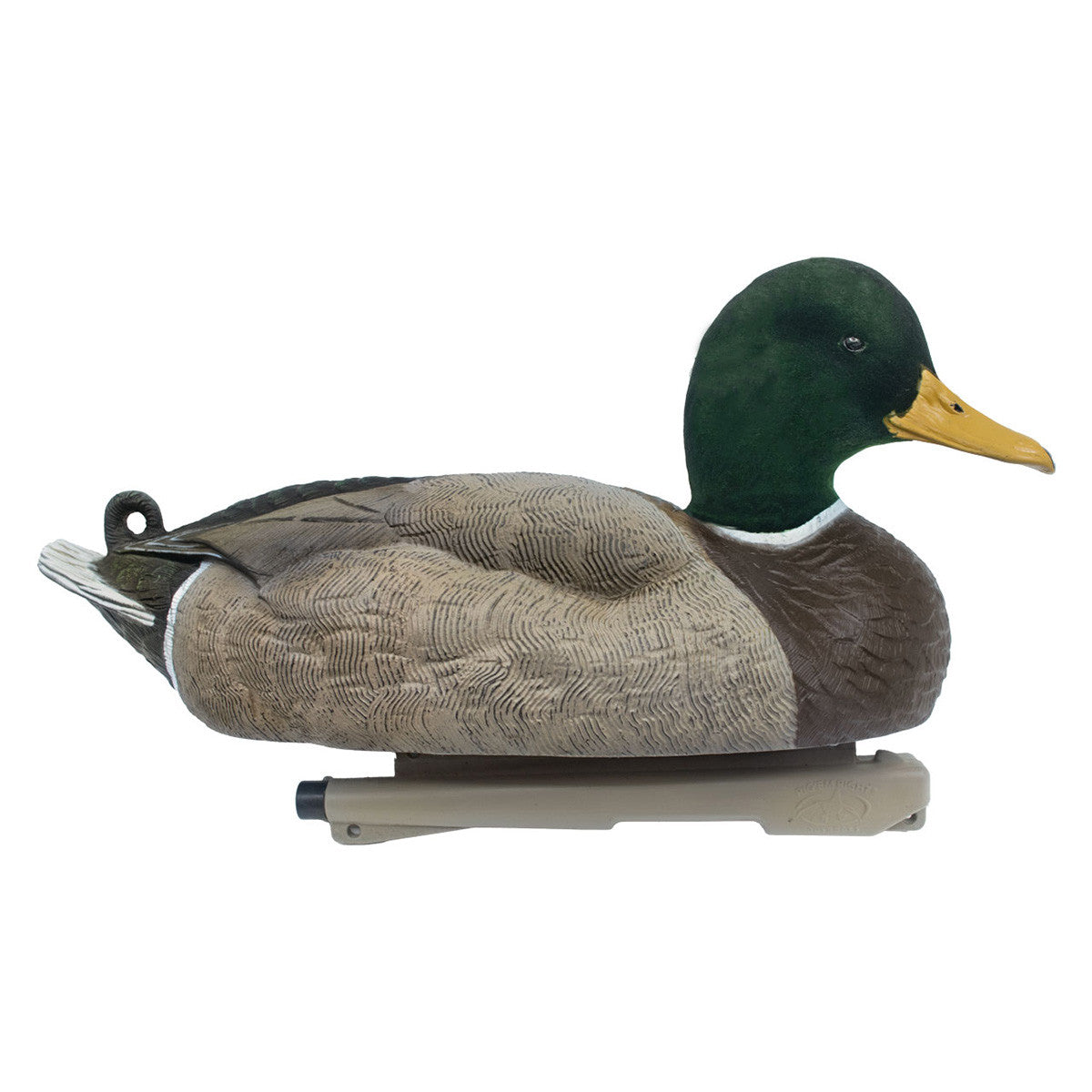 Mallard Duck Decoys with Upright Drake Image