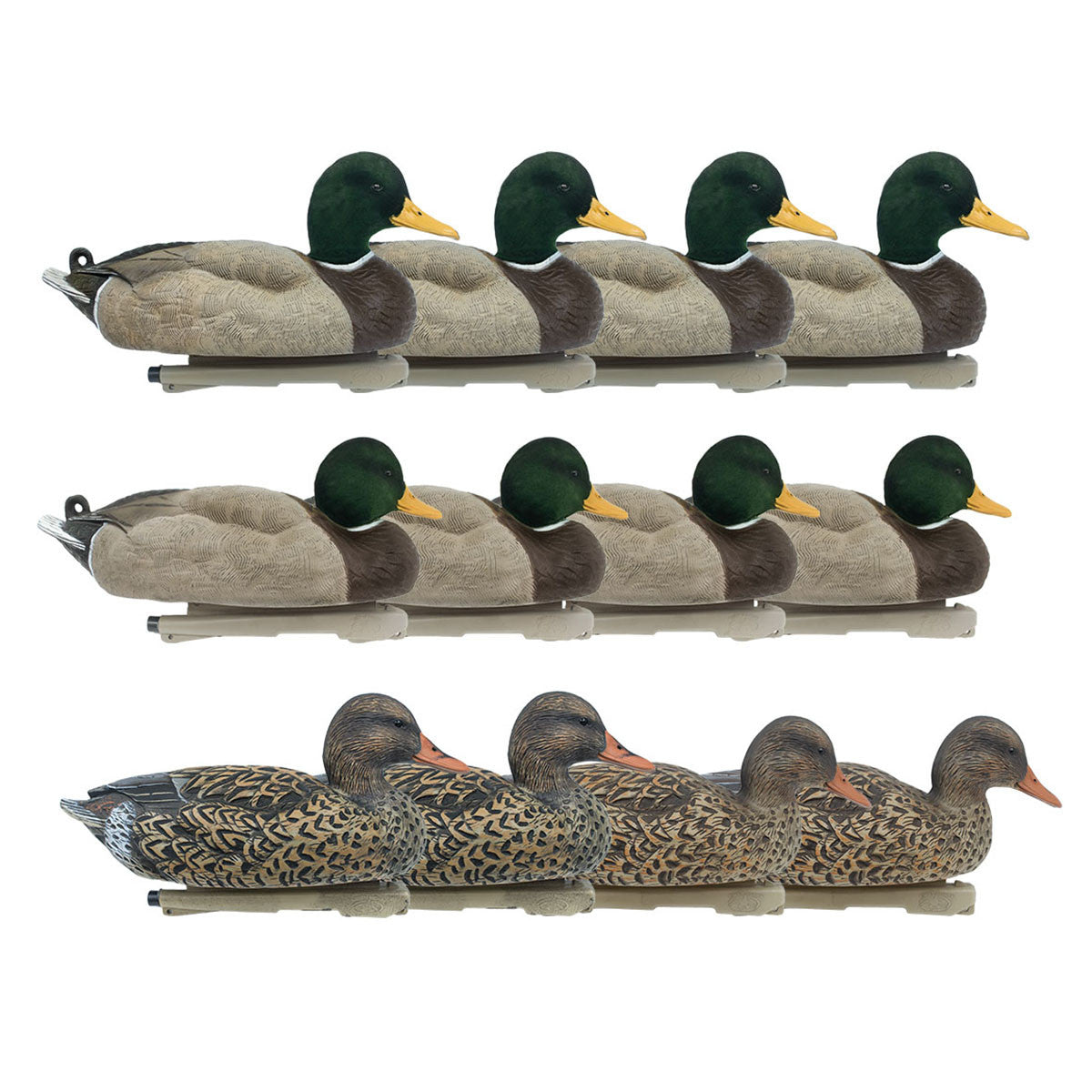 image of Mallard Duck Decoys with Drake Flocked Heads, 12 Pack.