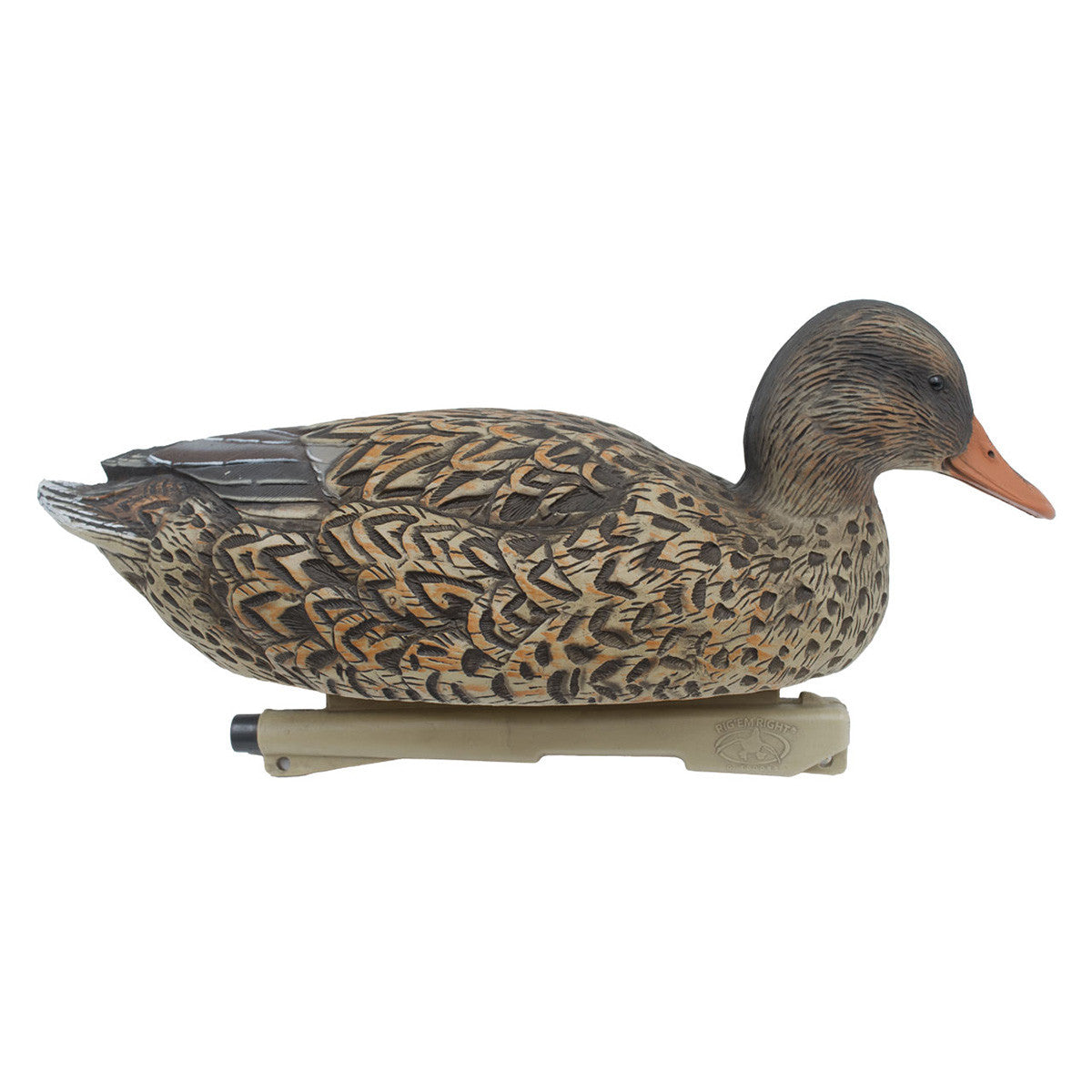 Mallard Duck Decoys with Low Head Hen Image
