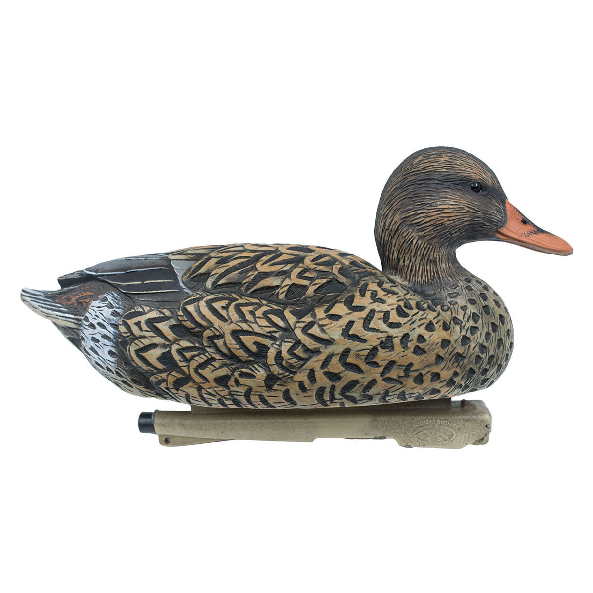 Mallard Duck Decoys with Upright Hen Image
