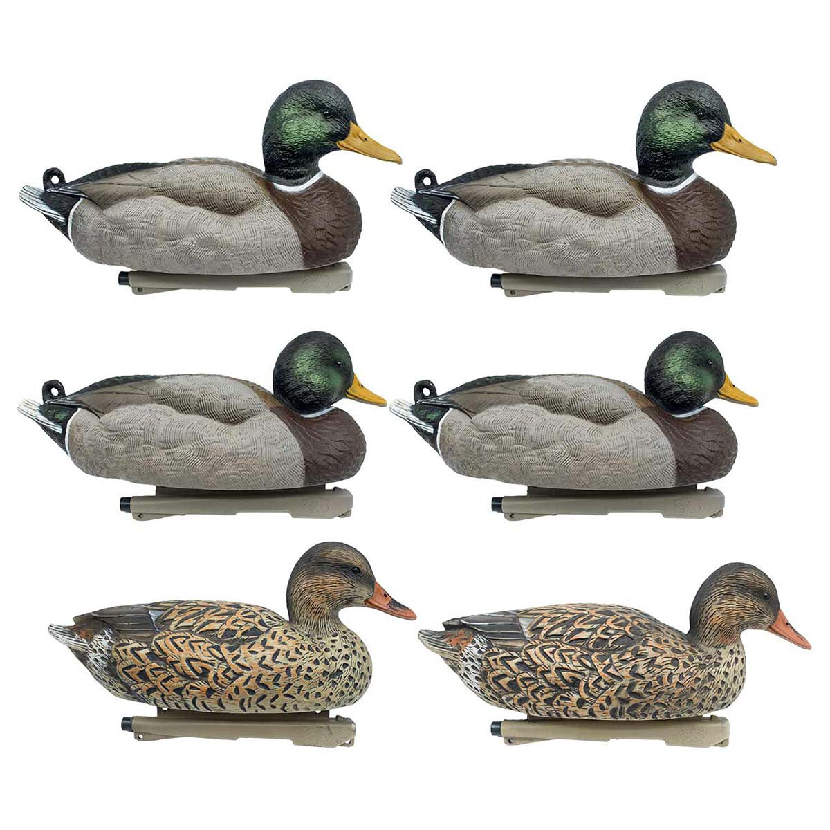 Rig'Em Right Mainline Series Mallard Duck Decoys, 6 Pack Group Image