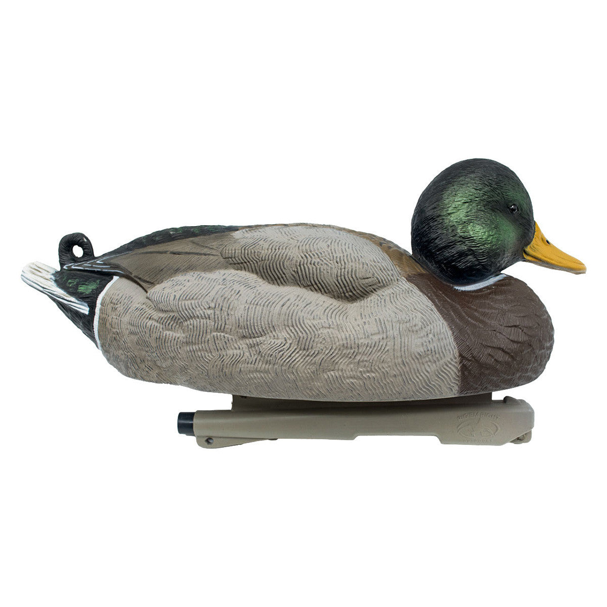 Rig'Em Right Mainline Series Mallard Duck Decoys Low Head Drake Image