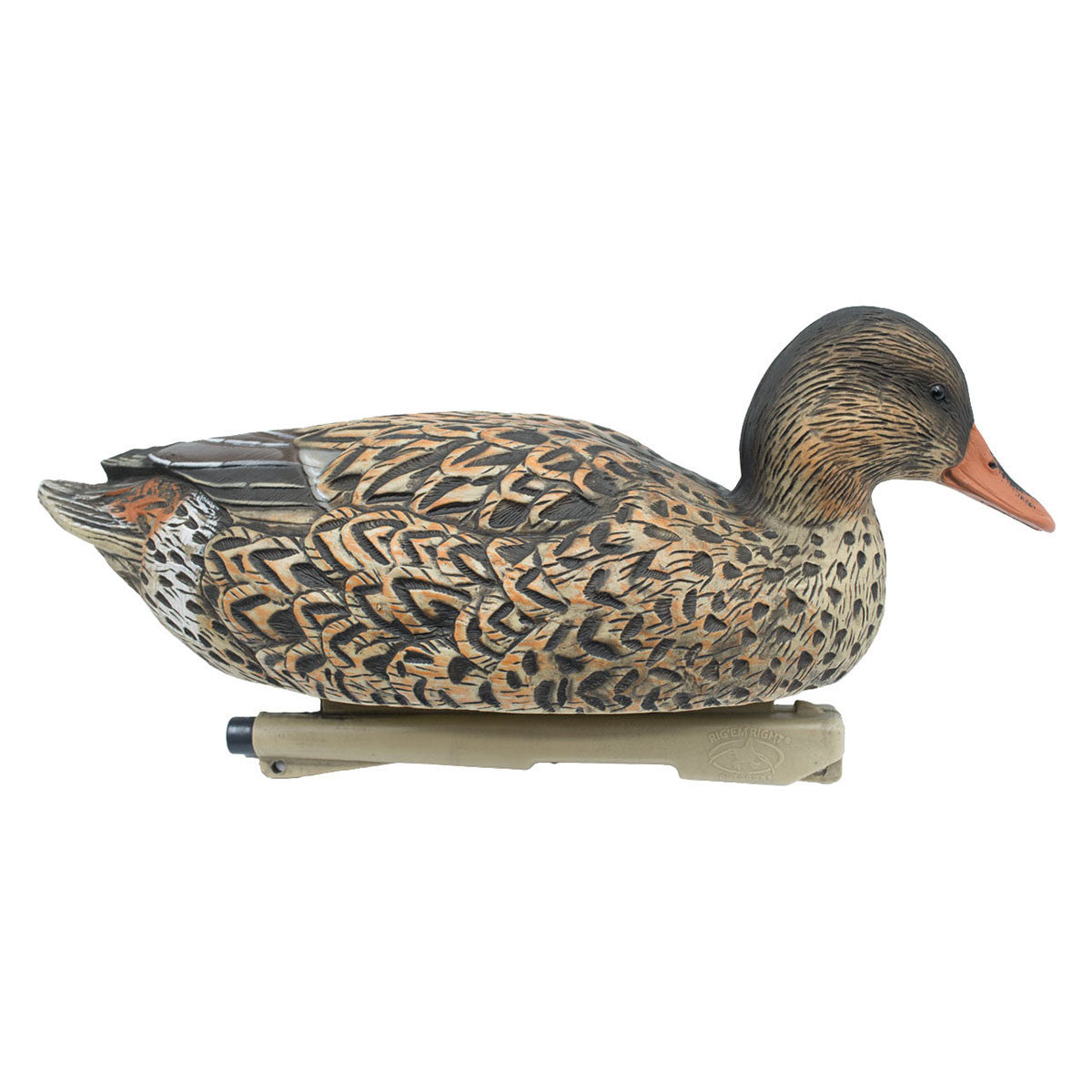 Rig'Em Right Mainline Series Mallard Duck Decoys Low Head Hen Image