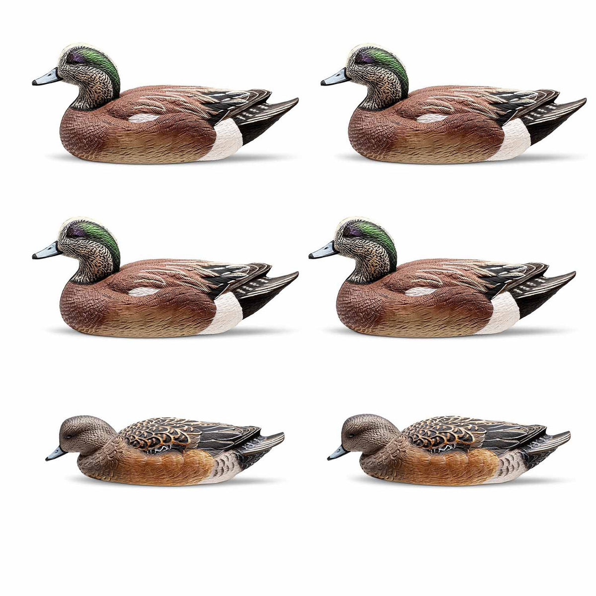 Rig Em Right Mainline Series Wigeon Decoys 6 pack image