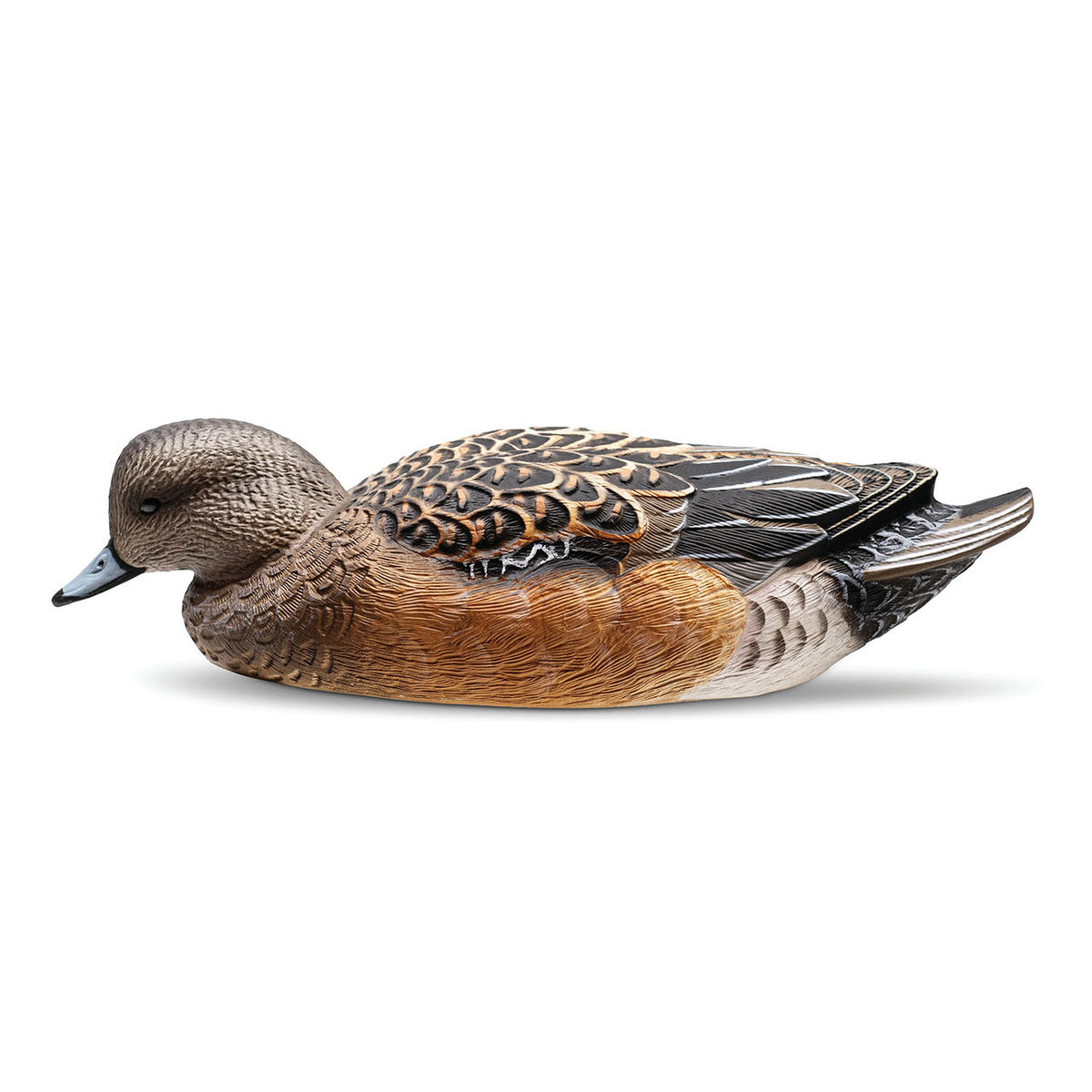 Rig Em Right Mainline Series Wigeon Decoys hen image