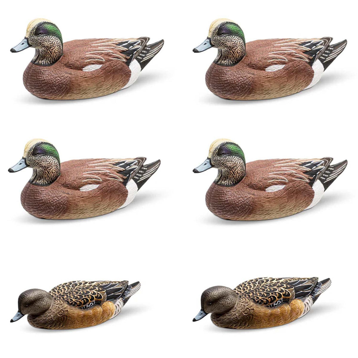 Rig'Em Right Decoys Mainline Series Wigeon Duck Decoys 6 Pack Angled Image