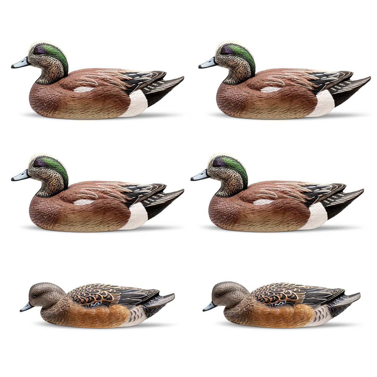 Rig'Em Right Decoys Mainline Series Wigeon Duck Decoys 6 Pack Image