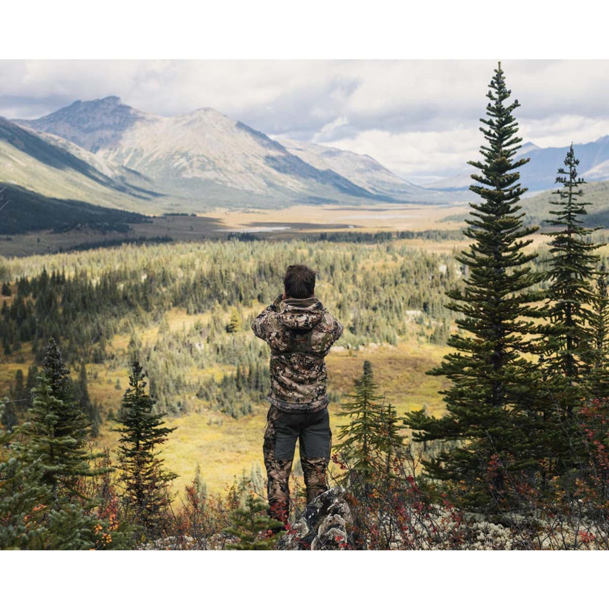 Sitka Timberline Pant Field Image