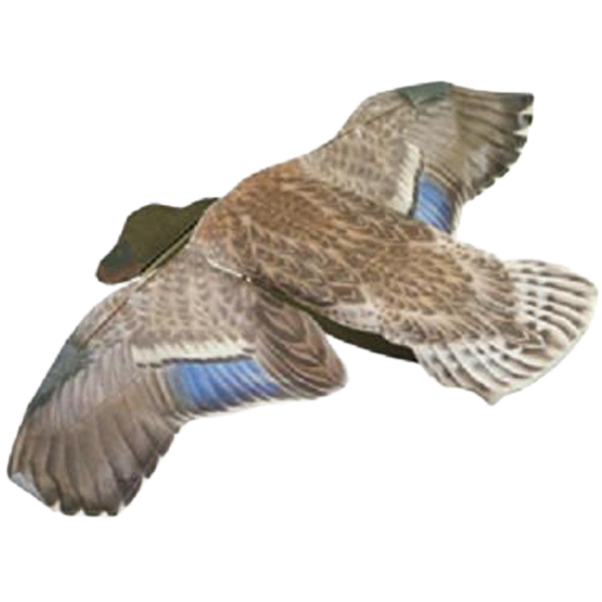 Sillosocks Mallard Hen Flapper