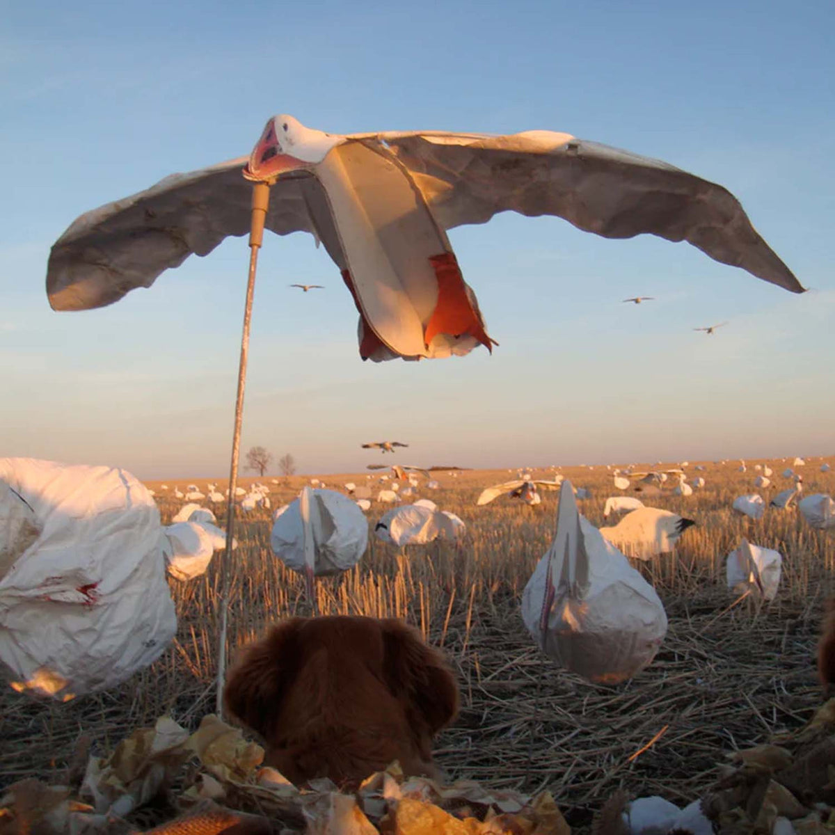 Sillosocks Flocked Snow Goose Flapping Flyer Decoy Image