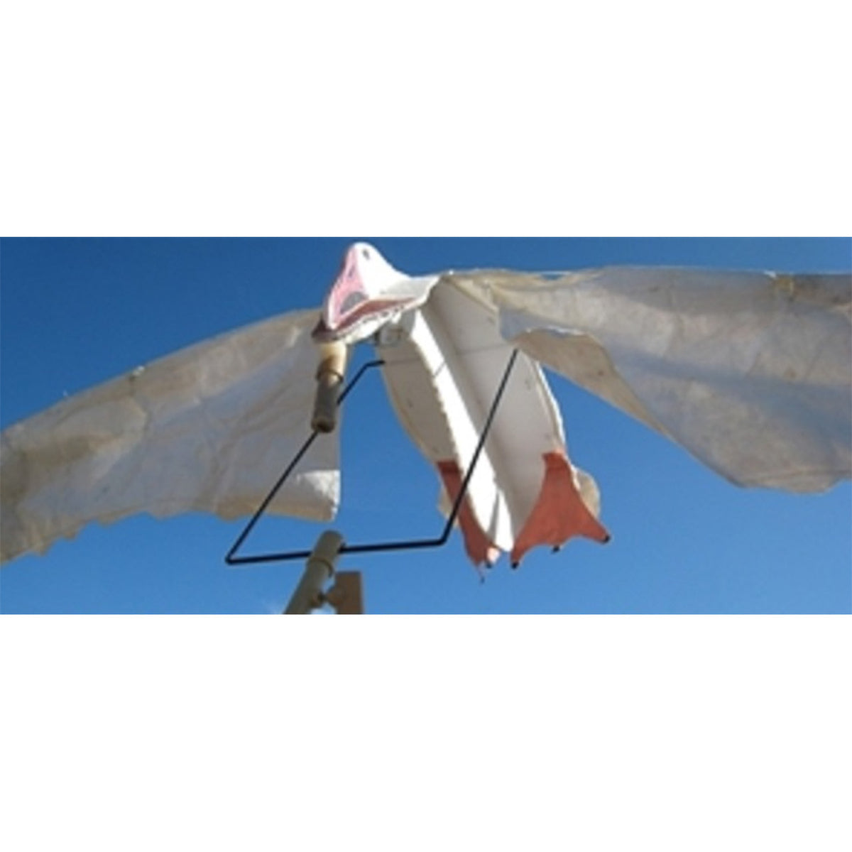 Image of SilloSocks decoy part.