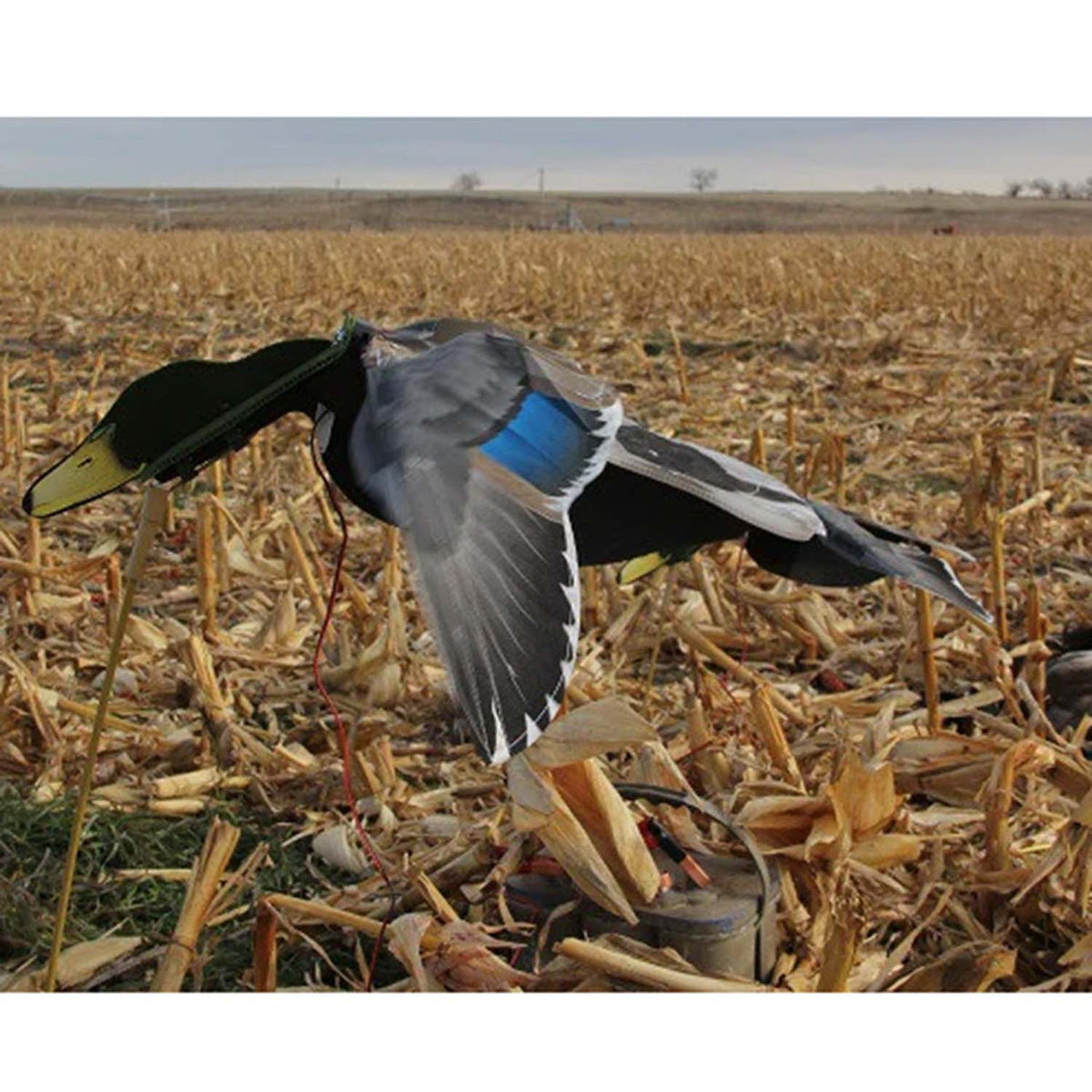 Sillosocks Wingbeat Mallard Hen Power Flapper image
