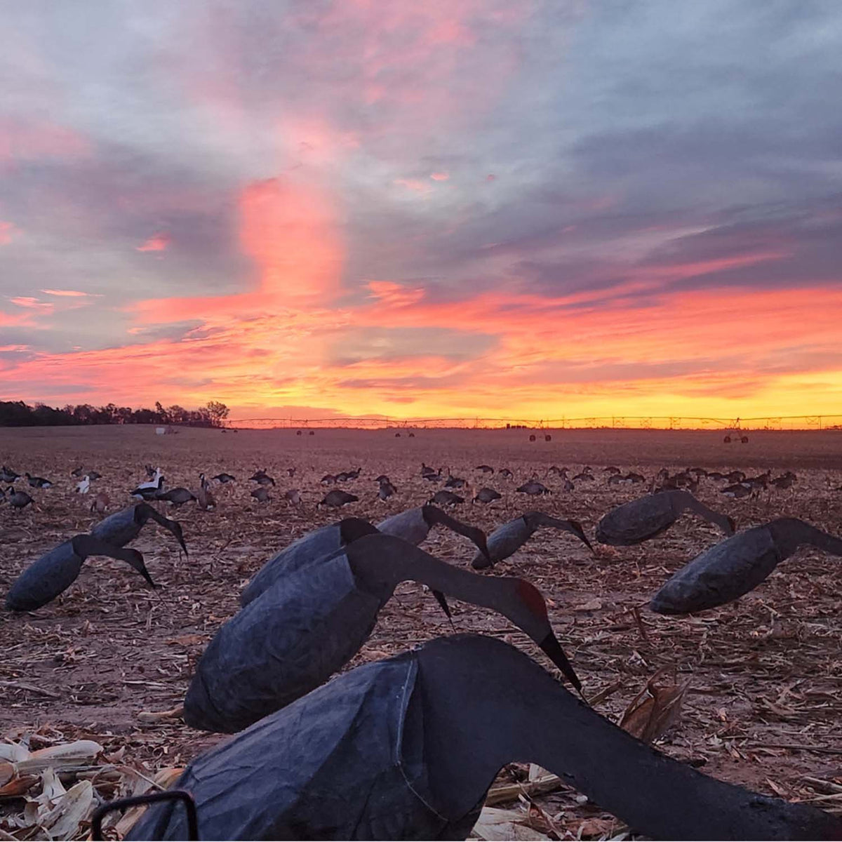 Sandhill Crane Feeder Decoy 12 Pack Image
