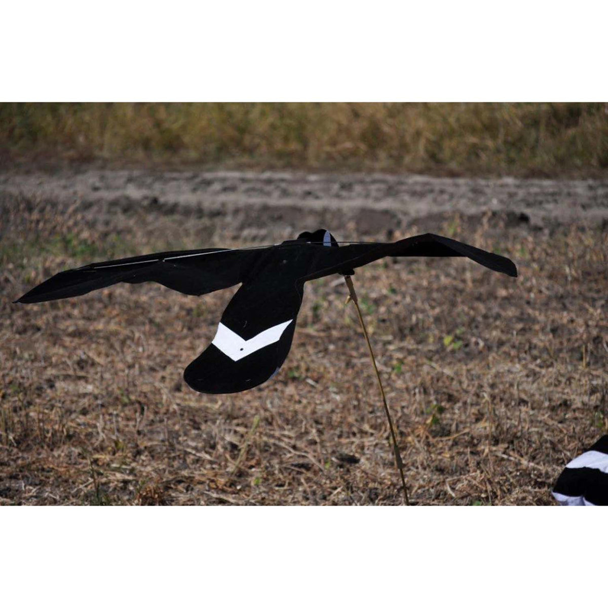 Sillosocks Wingbeat Canada Goose Power Flapper, Black and White image