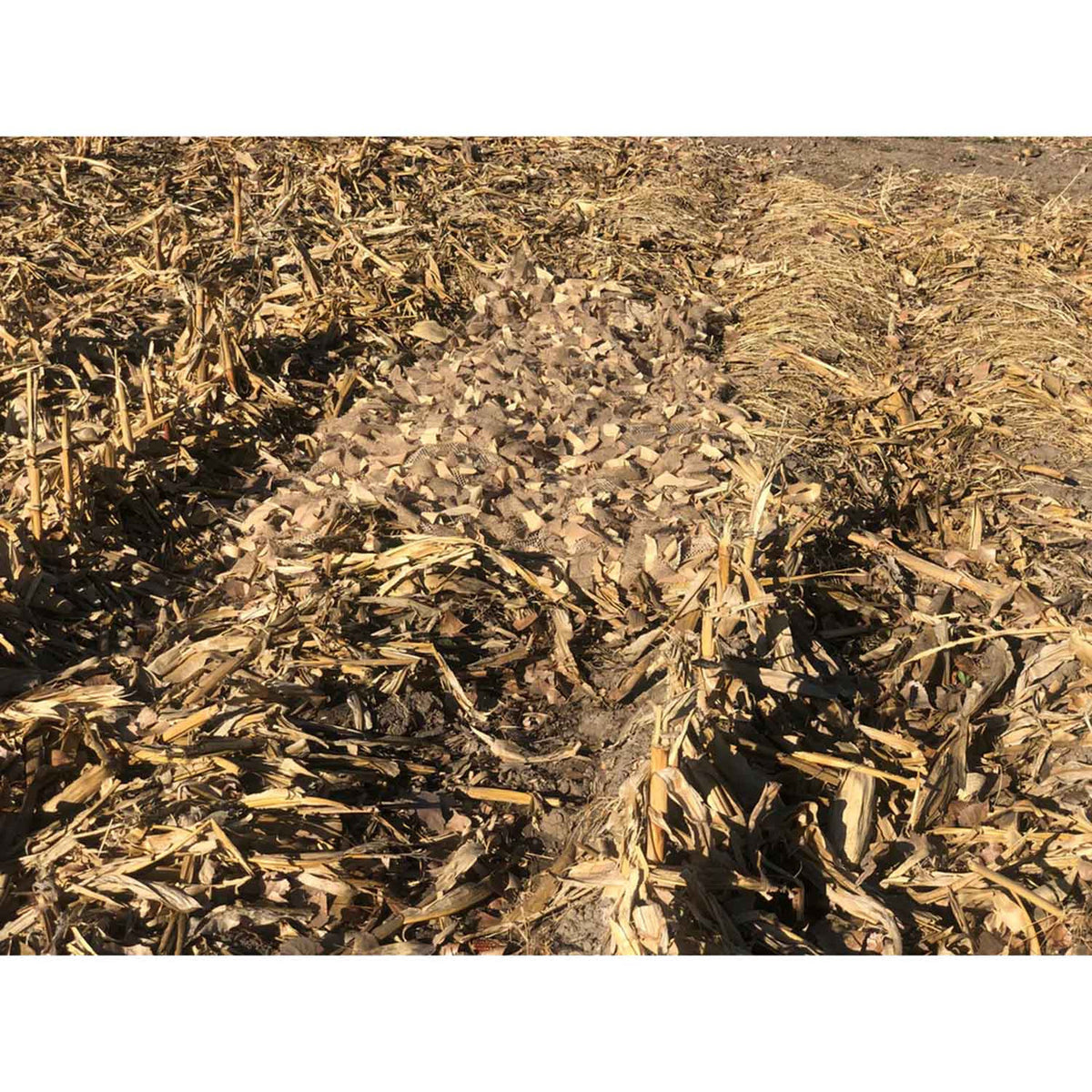 Sillosocks Ghillie Blanket image