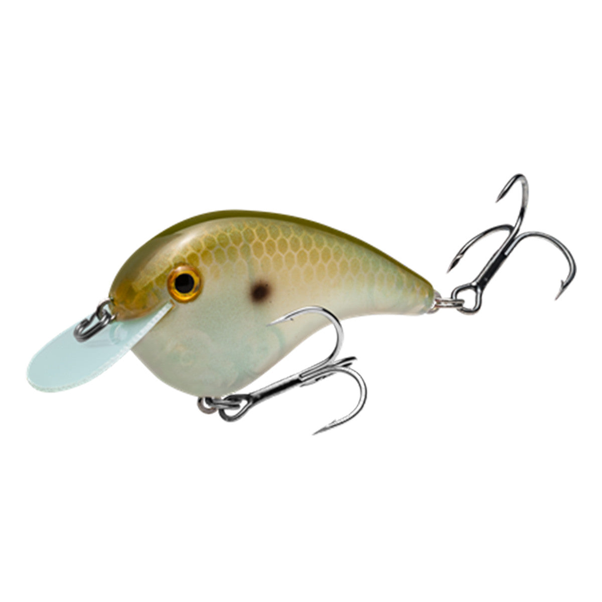 Chartreuse Blue-Black Splatterback