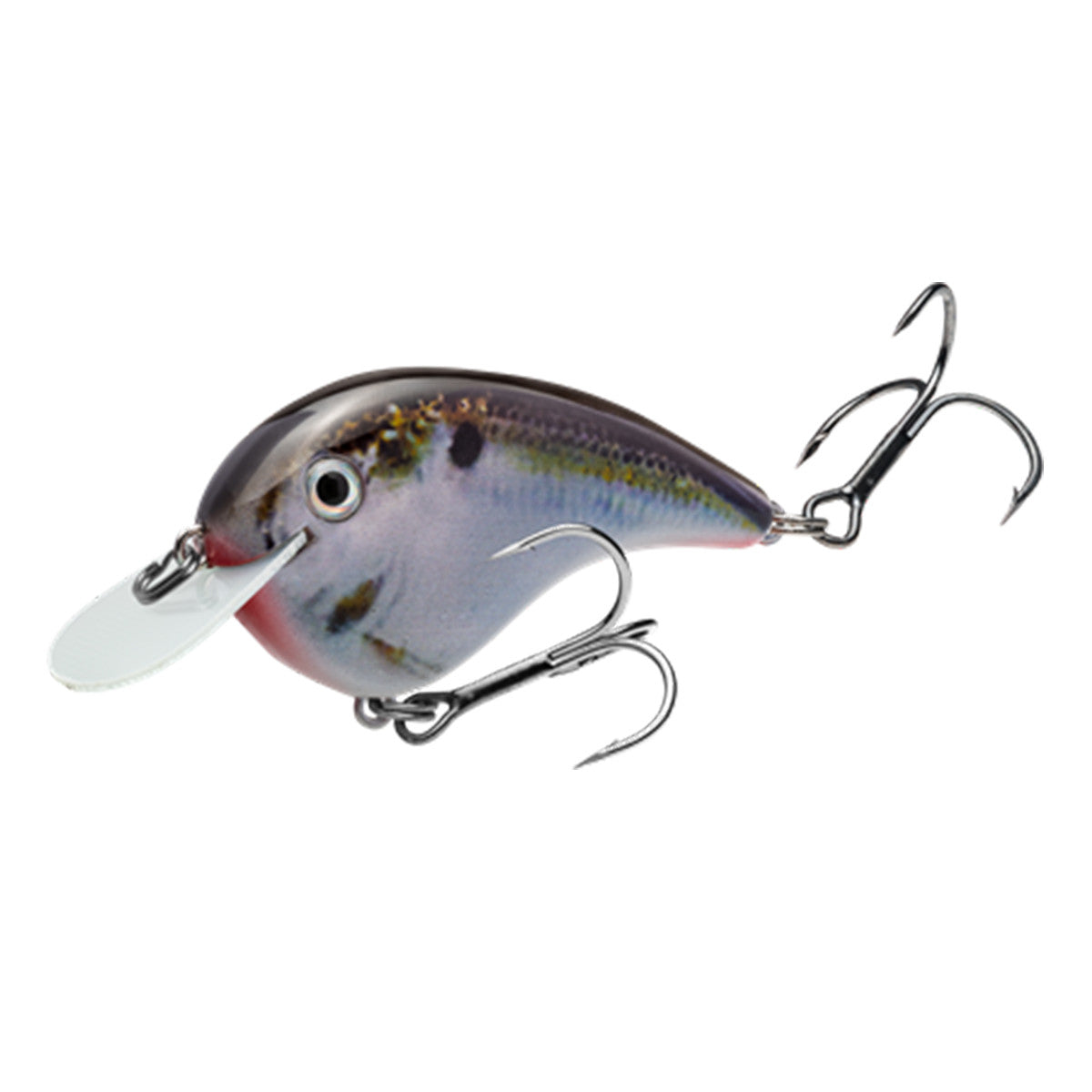 Chartreuse Blue-Black Splatterback