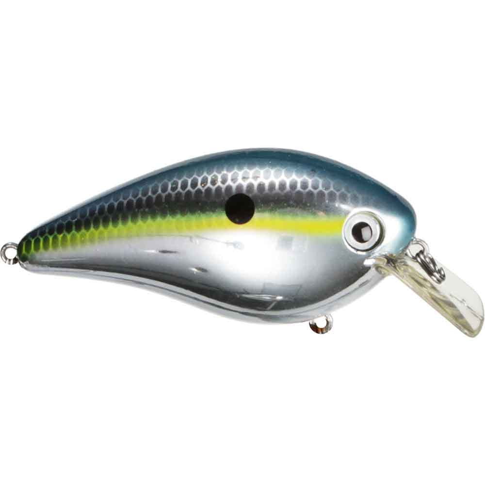 Image of the Strike King KVD 1.5 Shallow Squarebill Crankbait in Chrome Sexy Shad